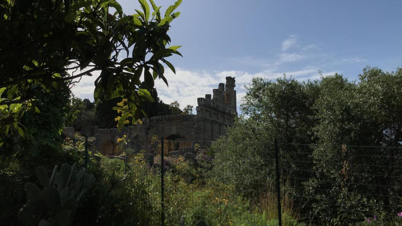 A Casa Di Peppino Villa Greco Tindari Luaran gambar