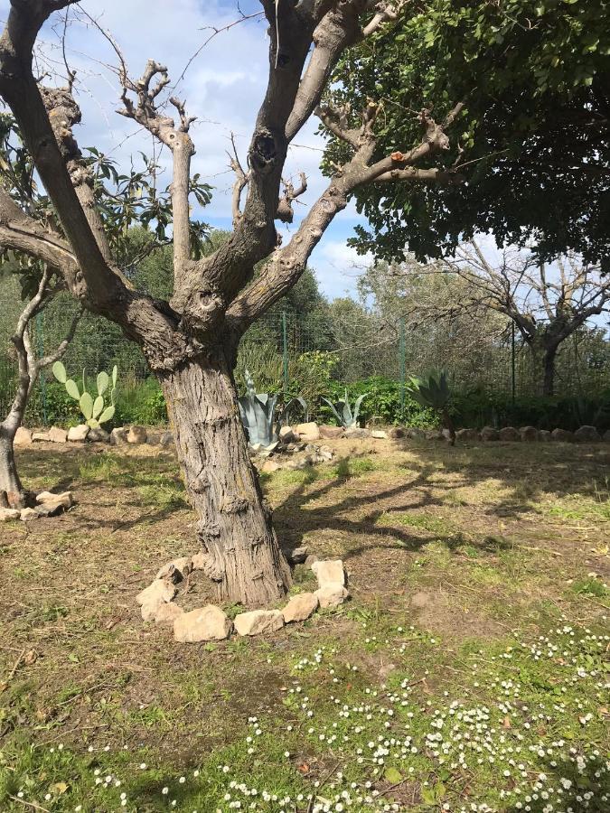 A Casa Di Peppino Villa Greco Tindari Luaran gambar