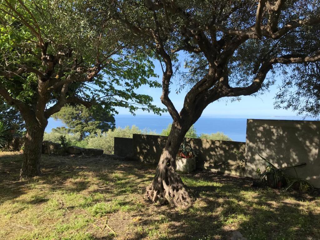 A Casa Di Peppino Villa Greco Tindari Luaran gambar
