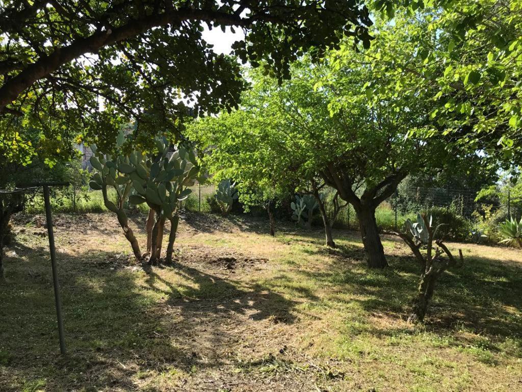 A Casa Di Peppino Villa Greco Tindari Luaran gambar