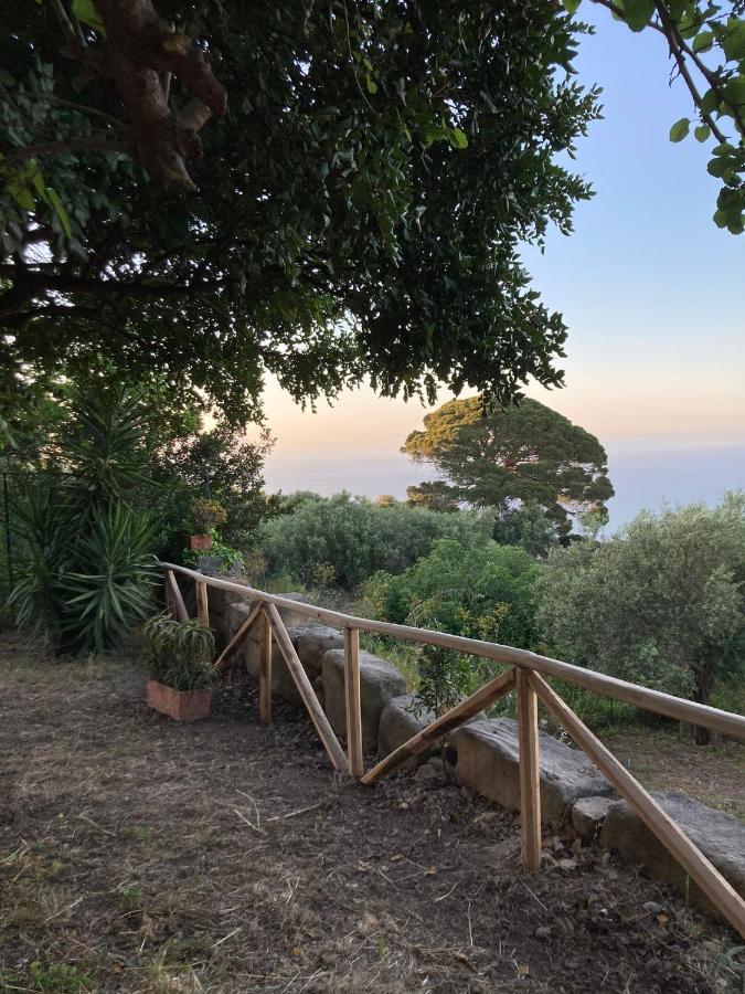 A Casa Di Peppino Villa Greco Tindari Luaran gambar